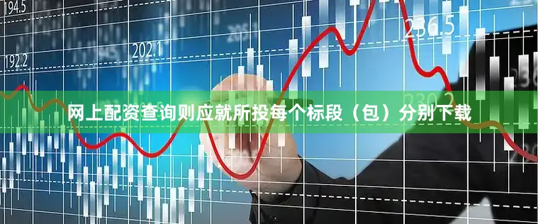 网上配资查询则应就所投每个标段（包）分别下载