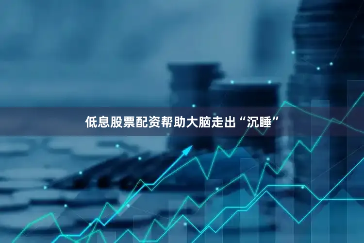 低息股票配资帮助大脑走出“沉睡”