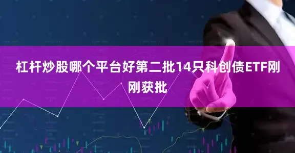 杠杆炒股哪个平台好第二批14只科创债ETF刚刚获批