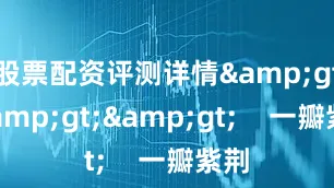 股票配资评测详情>>>    一瓣紫荆