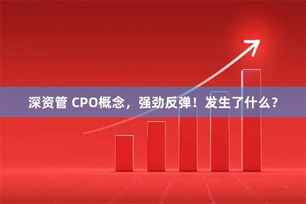 深资管 CPO概念，强劲反弹！发生了什么？