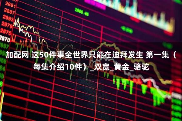 加配网 这50件事全世界只能在迪拜发生 第一集（每集介绍10件）_双宽_黄金_骆驼